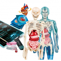Juego Superanatomía. Ciencia Y Juego. Conoce La Anatomía Del Cuerpo Humano
